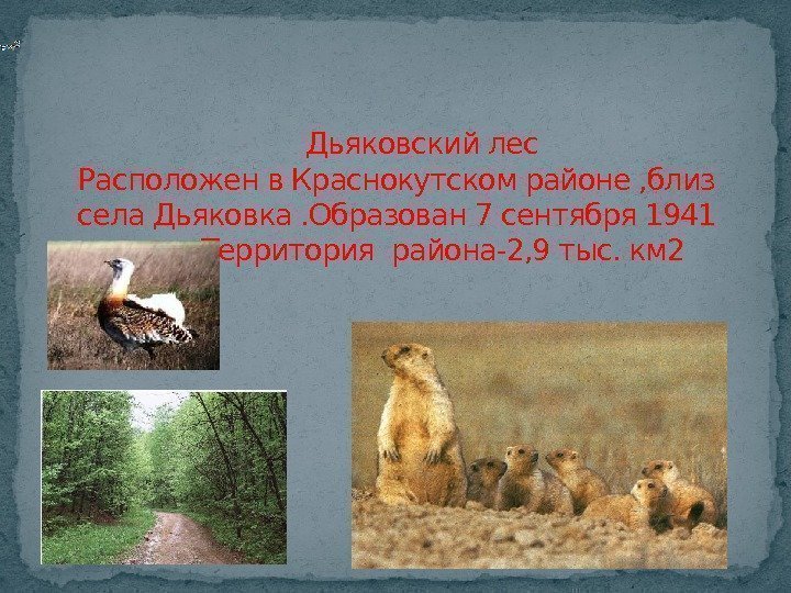   Дьяковский лес Расположен в Краснокутском районе , близ села Дьяковка. Образован 7